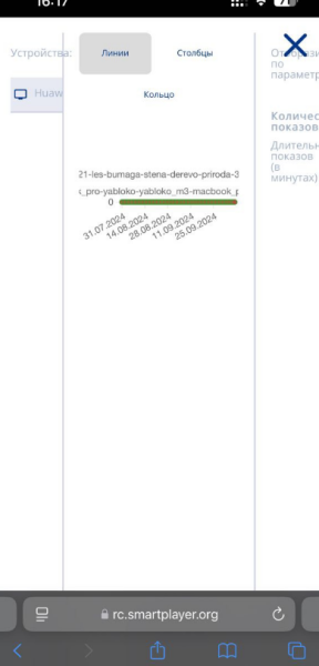 Файл:Ошибки мобильной верстки.png