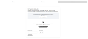 Элементы страницы загрузки.png