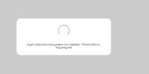 Процесс загрузки прошивки.jpg