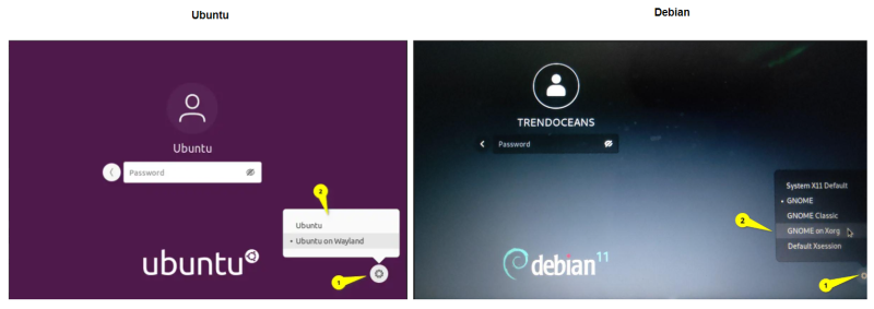 Файл:Пак 1.png