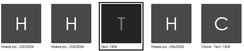 Файл:Выделенная роль.png