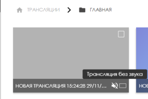 Без звука.png