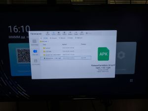 Photo 5330538702419645846 y.jpg