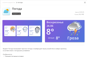 Описание виджета.png