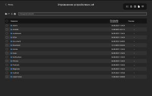 Список файлов устройство.png